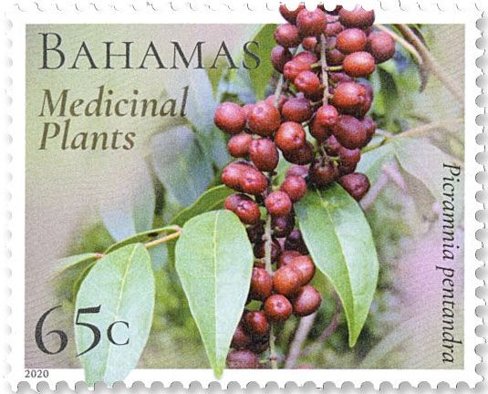 n° 1597/1602 - Timbre BAHAMAS Poste