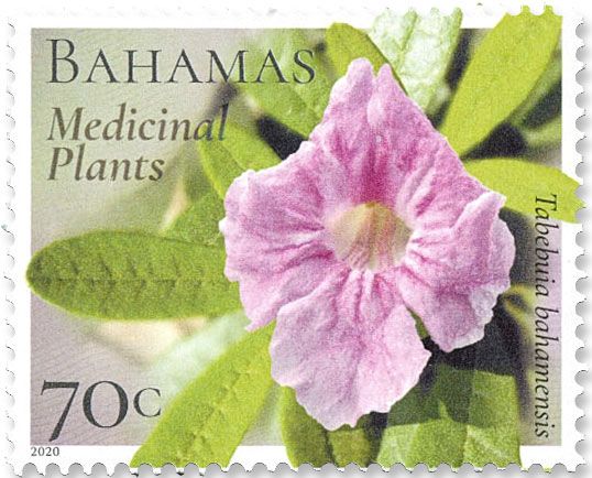 n° 1597/1602 - Timbre BAHAMAS Poste