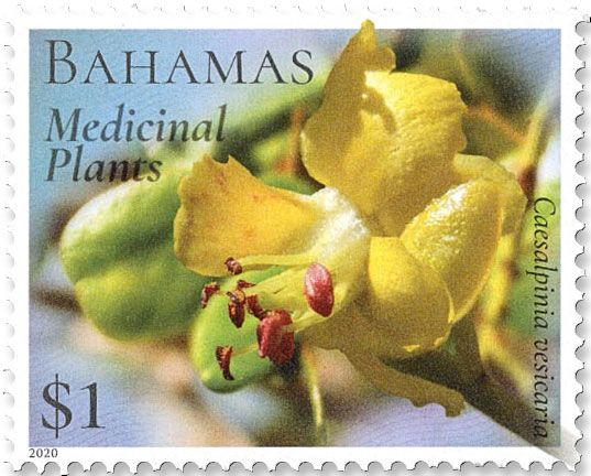 n° 1597/1602 - Timbre BAHAMAS Poste