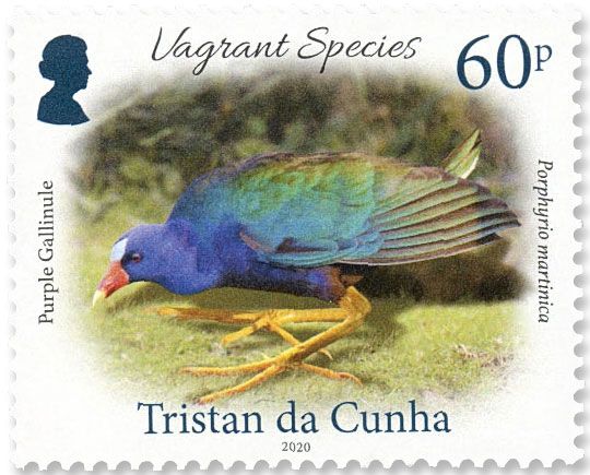 n° 1256/1259 - Timbre TRISTAN DA CUNHA Poste