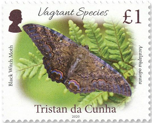 n° 1256/1259 - Timbre TRISTAN DA CUNHA Poste