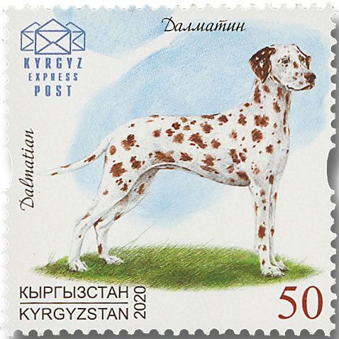 n° 136/138 - Timbre KIRGHIZISTAN (Kyrgyz Express Post) Poste