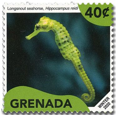 n° 6438/6442 - Timbre GRENADE Poste