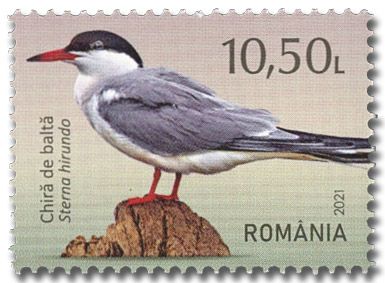 n° 6674/6680 - Timbre ROUMANIE Poste