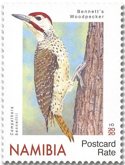 n° 1439/1443 - Timbre NAMIBIE Poste