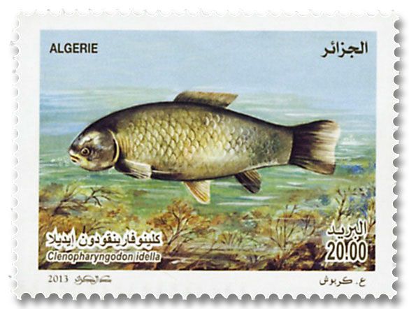 n° 1670/1671 - Timbre ALGERIE Poste