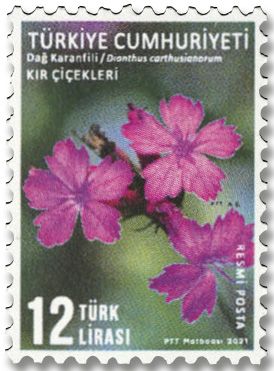 n° 406/410 - Timbre TURQUIE Timbres de service