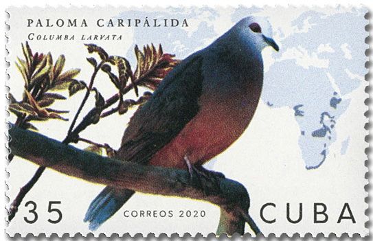 n° 5911/5916 - Timbre CUBA Poste