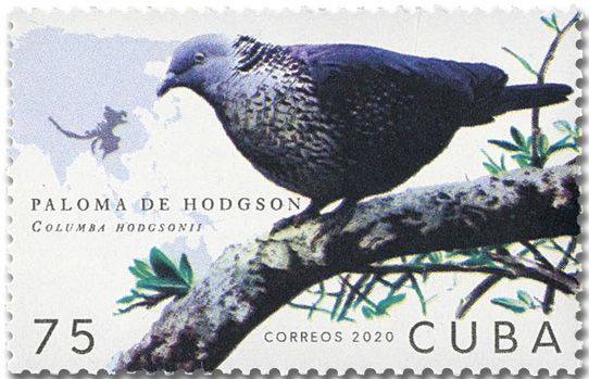 n° 5911/5916 - Timbre CUBA Poste