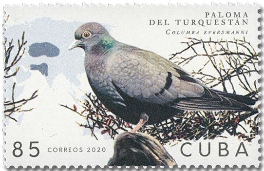 n° 5911/5916 - Timbre CUBA Poste