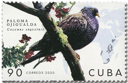 n° 5911/5916 - Timbre CUBA Poste