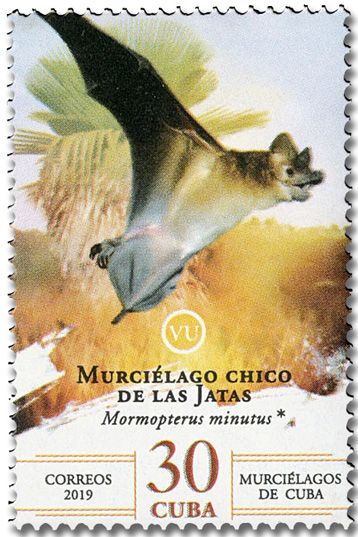 n° 5865/5870 - Timbre CUBA Poste