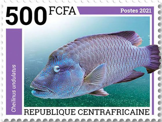 n° 8438/8441  - Timbre CENTRAFRIQUE Poste