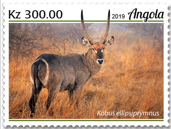 n° 2057/2060  - Timbre ANGOLA Poste