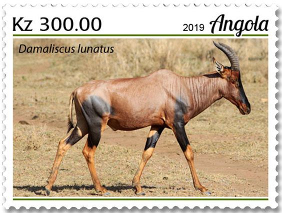 n° 2057/2060  - Timbre ANGOLA Poste