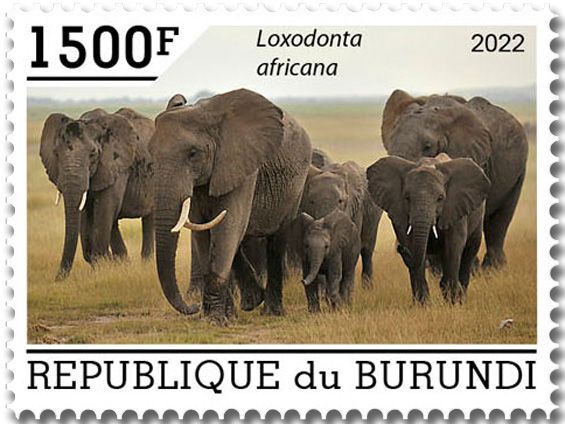 n° 2559/2563 - Timbre BURUNDI Poste