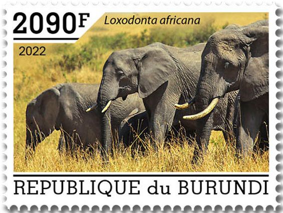 n° 2559/2563 - Timbre BURUNDI Poste