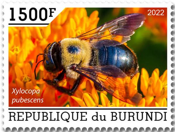 n° 2624/2628 - Timbre BURUNDI Poste