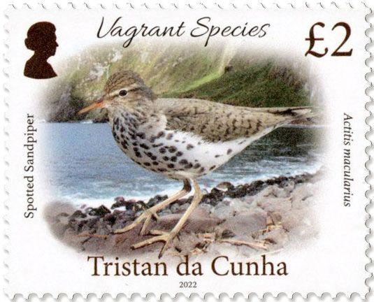 n° 1318/1321 - Timbre TRISTAN DA CUNHA Poste