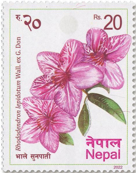 n° 1372/1377 - Timbre NEPAL Poste