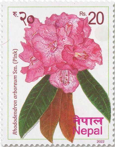 n° 1372/1377 - Timbre NEPAL Poste