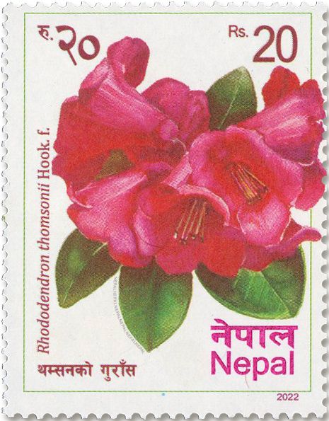 n° 1372/1377 - Timbre NEPAL Poste