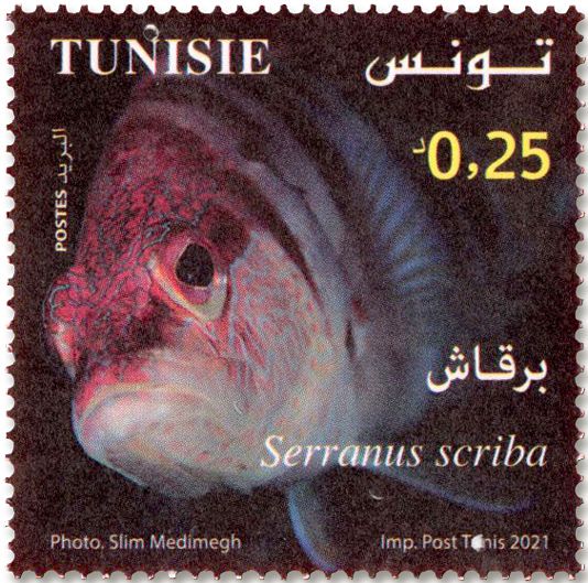 n° 1950/1953 - Timbre TUNISIE Poste