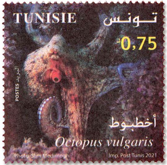 n° 1950/1953 - Timbre TUNISIE Poste