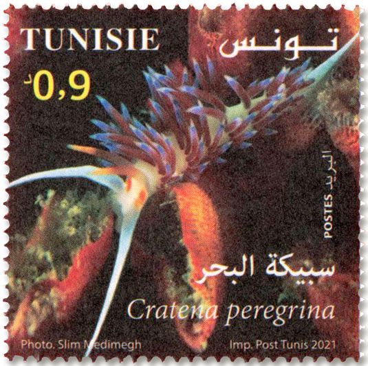 n° 1950/1953 - Timbre TUNISIE Poste