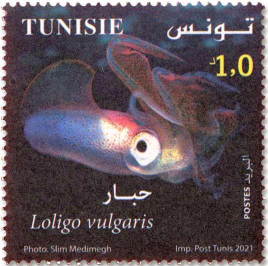 n° 1950/1953 - Timbre TUNISIE Poste