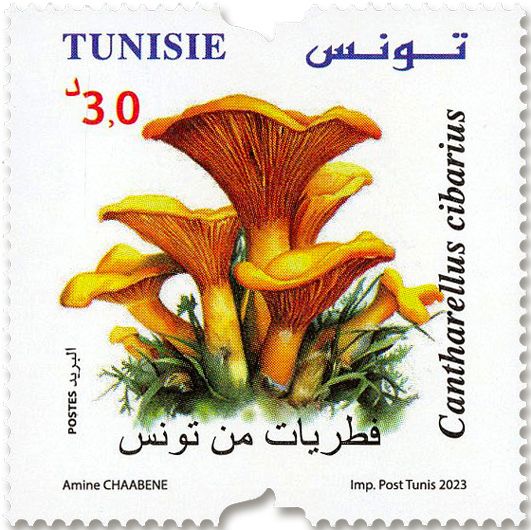 n° 2024/2027 - Timbre TUNISIE Poste