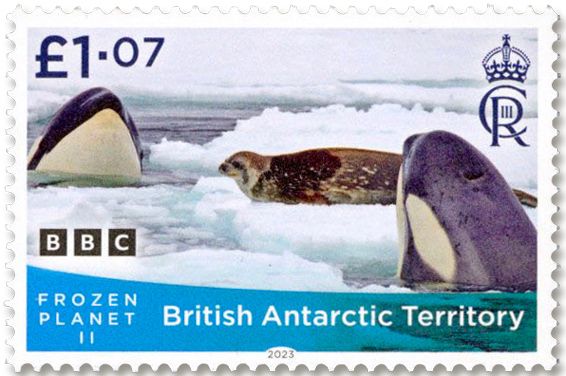 n° 805/808 - Timbre ANTARCTIQUE BRITANNIQUE Poste