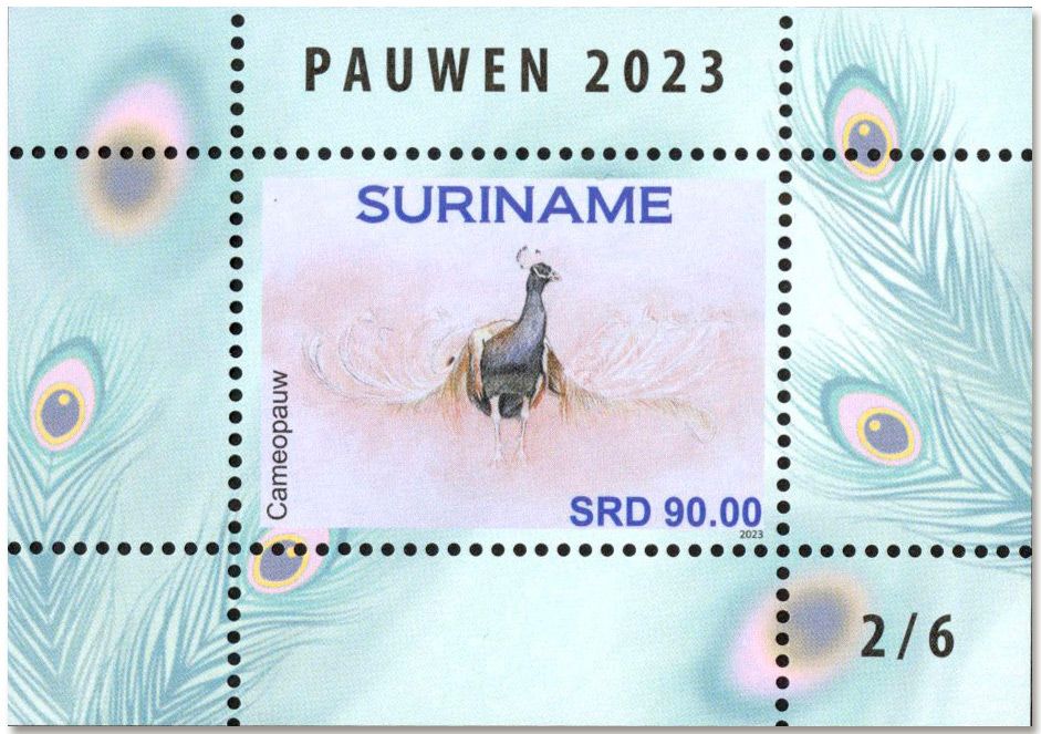 n° 196/201 - Timbre SURINAM Blocs et feuillets