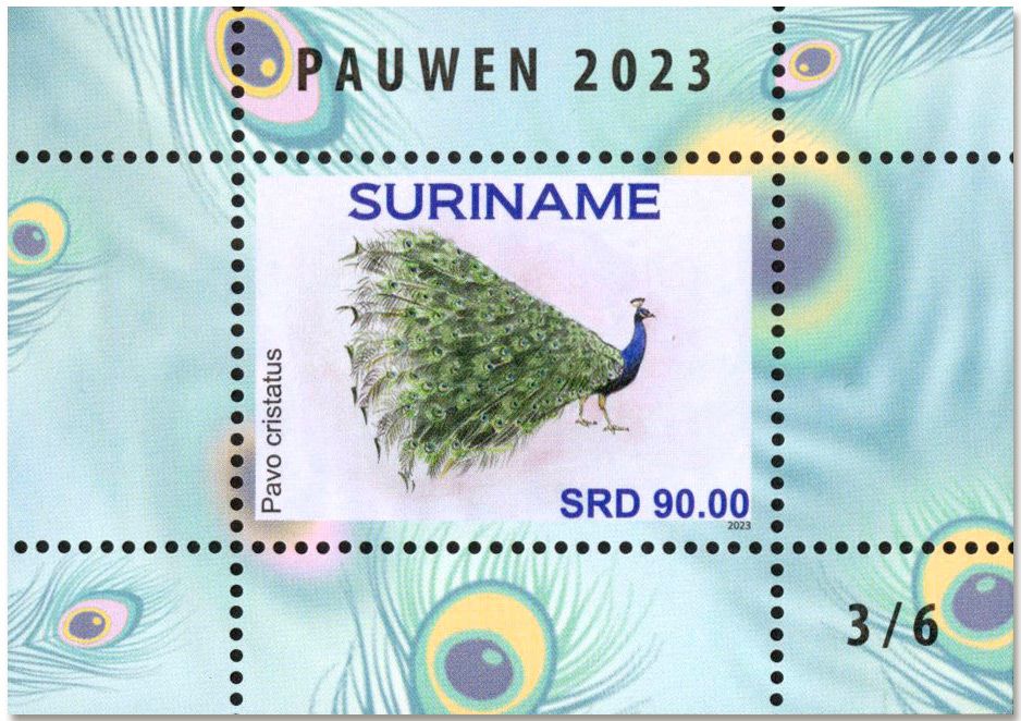 n° 196/201 - Timbre SURINAM Blocs et feuillets