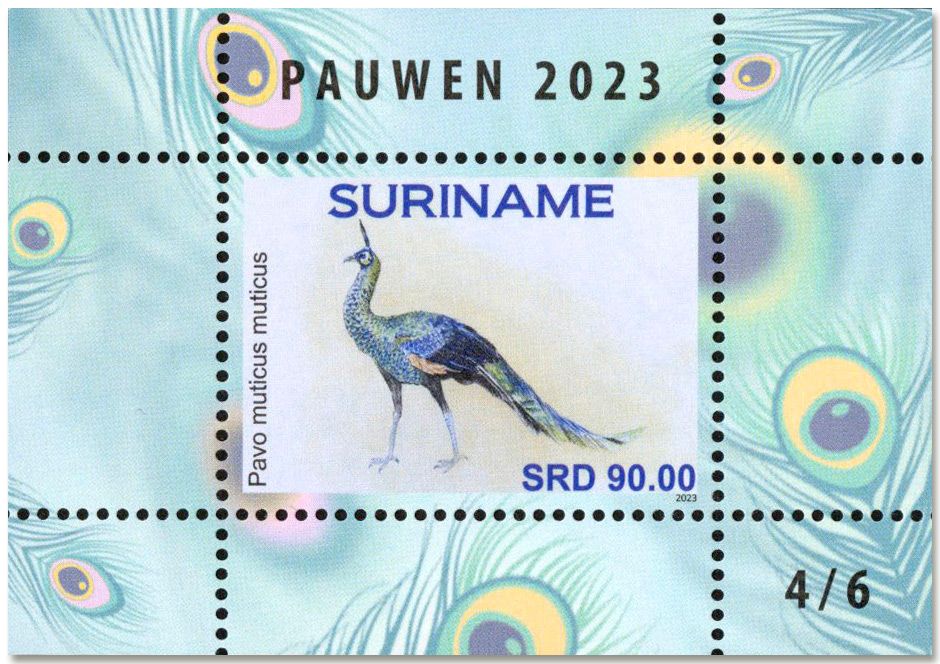 n° 196/201 - Timbre SURINAM Blocs et feuillets