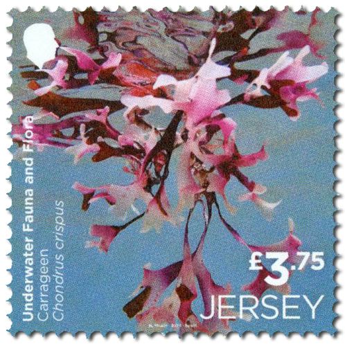 n° 2313/2814 (la paire) + n° 2815 (la série) - Timbre JERSEY Poste