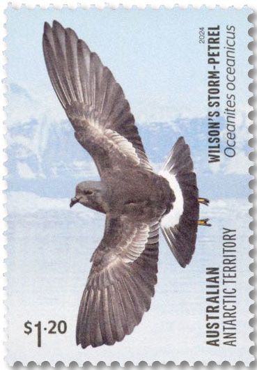 n° 297/300 - Timbre TERRITOIRE ANTARCTIQUE AUSTRALIEN Poste