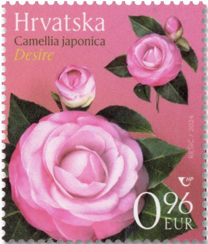 n° 1515/1517 - Timbre CROATIE Poste