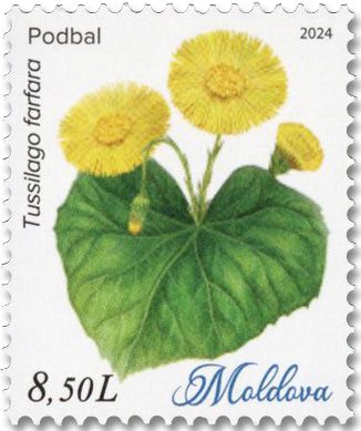 n° 1127/1132 - Timbre MOLDAVIE Poste