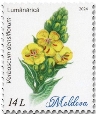 n° 1127/1132 - Timbre MOLDAVIE Poste