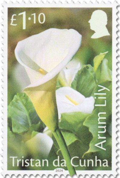 n° 1348/1351 - Timbre TRISTAN DA CUNHA Poste