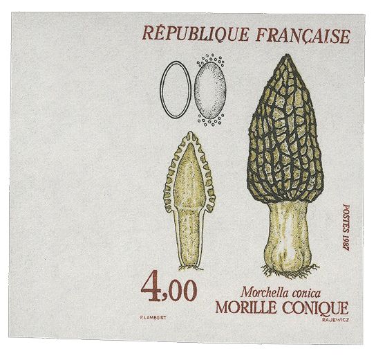 n° 2488/2491** ND - Timbre FRANCE Poste
