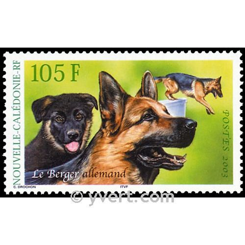 nr. 905 -  Stamp New Caledonia Mail