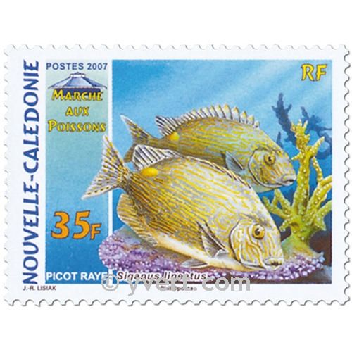 n° 998/1000 -  Timbre Nelle-Calédonie Poste