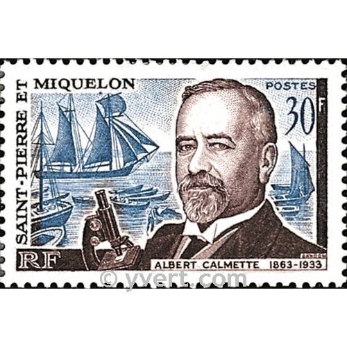 n° 368 -  Timbre Saint-Pierre et Miquelon Poste