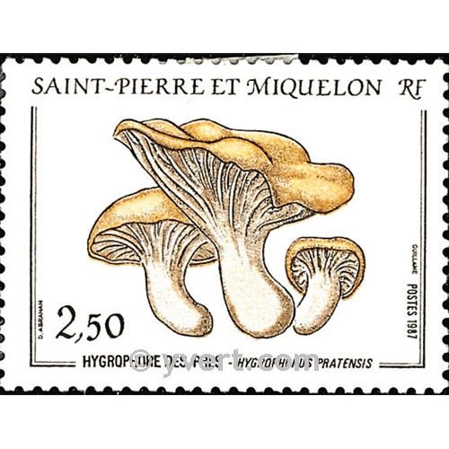 n° 475 -  Timbre Saint-Pierre et Miquelon Poste