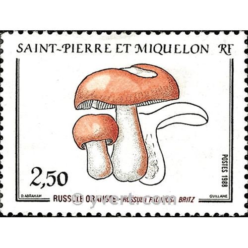 n° 486 -  Timbre Saint-Pierre et Miquelon Poste