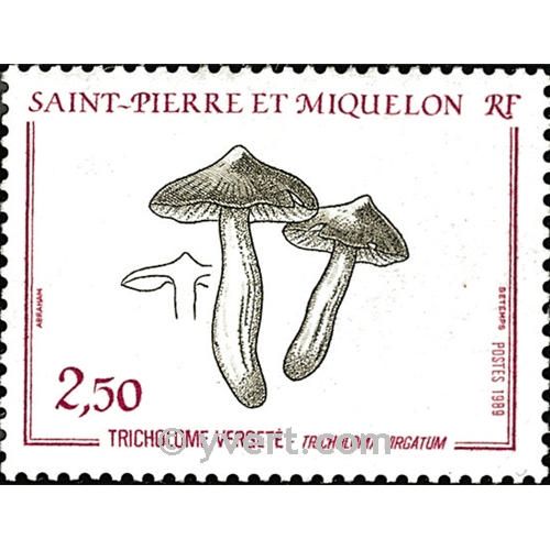 n° 497 -  Timbre Saint-Pierre et Miquelon Poste