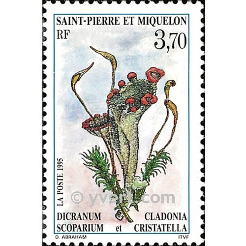 nr. 611 -  Stamp Saint-Pierre et Miquelon Mail