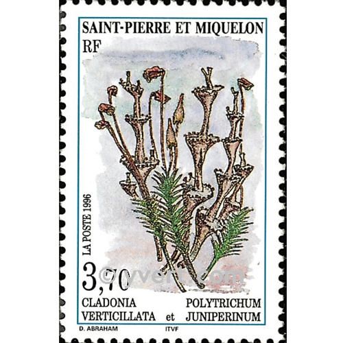 n° 626 -  Timbre Saint-Pierre et Miquelon Poste